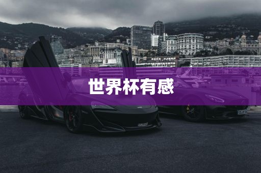 世界杯有眉山市正发家政服务有限公司感