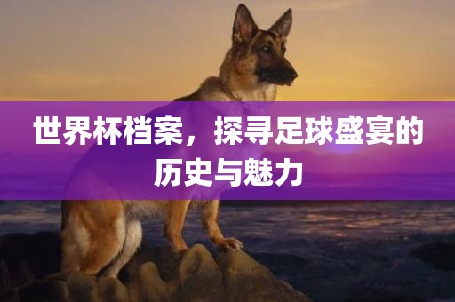 世界杯档案，探寻足球盛宴的历史与魅力眉山市正发家政服务有限公司