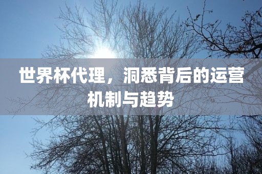 世界杯代理，洞悉背眉山市正发家政服务有限公司后的运营机制与趋势