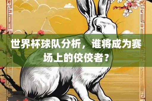世界杯球队分析，谁将成为赛场上的佼佼者？
