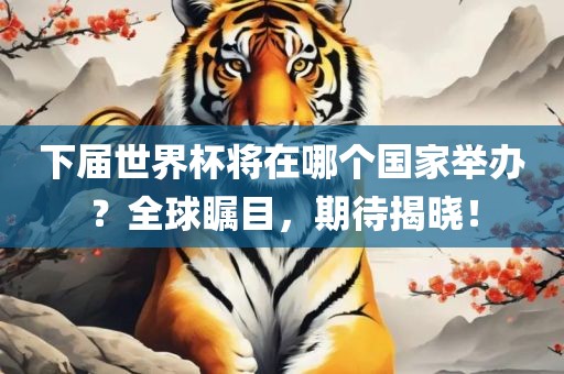 下届世界杯将在哪个国家举办？全球瞩目，期待揭晓！