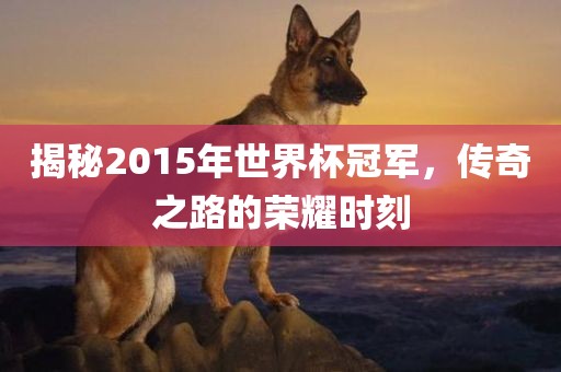 揭秘2015年世界杯冠军，传奇之路的荣耀时刻