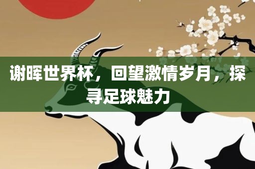 谢晖世界杯，回望激情岁月，探寻足球魅力眉山市正发家政服务有限公司