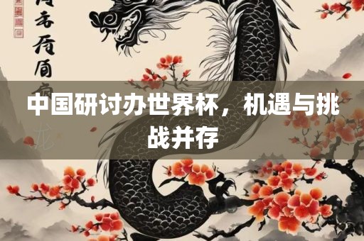 中国研讨办世界杯，机遇与挑战并存