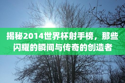 揭秘2014世界杯射手榜，那些闪耀的瞬间与传奇的创造者