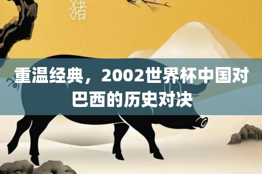 重温经典，2002世界杯中国对巴西的历史对决