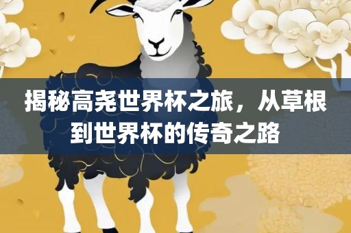 揭秘高尧世界杯之旅，从草根到世界杯的传奇之路