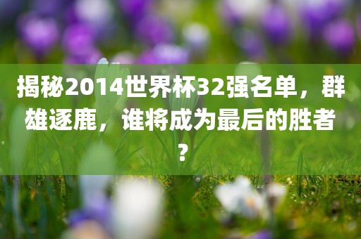 揭秘2014世界杯32强名单，群雄逐鹿，谁将成为最后的胜者？