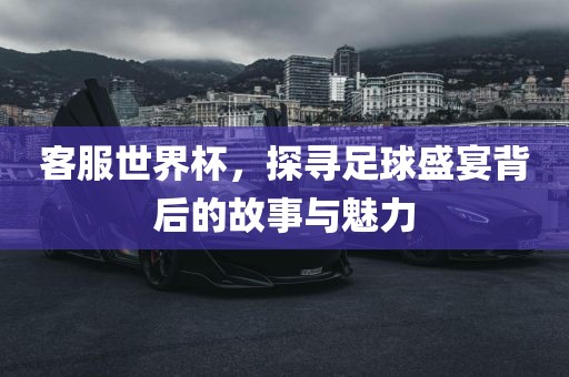 客服世界杯，探寻足球盛宴背后的故事与魅力眉山市正发家政服务有限公司