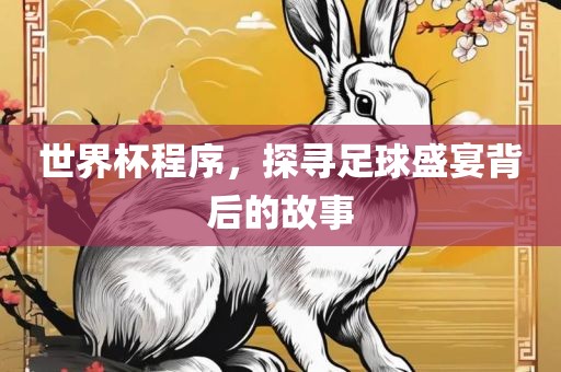 世界杯程序，探寻足球盛宴背后的故事