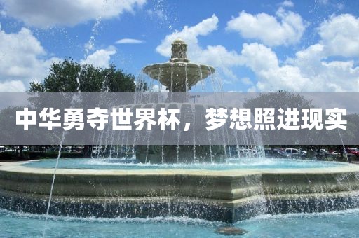 中华勇夺世界杯，梦想照进现实