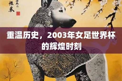 重温历史，2003年女足世界杯的辉煌时刻