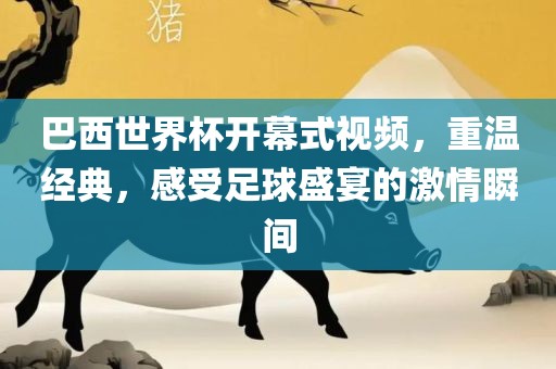 巴西世界杯开幕式视频，重温经典，感受足球盛宴的激情瞬间
