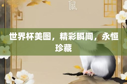 世界杯美图，精彩瞬间，永恒珍藏眉山市正发家政服务有限公司