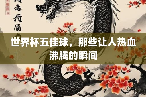 世界杯五佳球，那些让人热血沸腾的瞬间眉山市正发家政服务有限公司