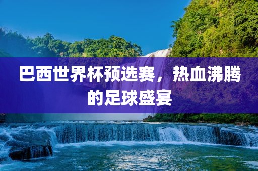 巴西世界杯预选赛，热血沸腾的足球盛宴