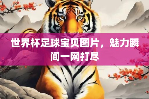 世界杯足球宝贝图片，魅力瞬间一网打尽