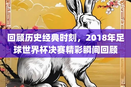 回顾历史经典时刻，2018年足球世界杯决赛精彩瞬间回顾