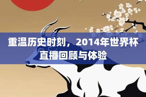 重温历史时刻，2014年世界杯直播回顾与体验