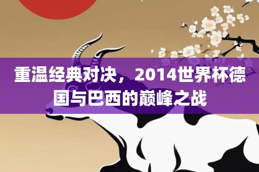 重温经典对决，2014世界杯德国与巴西的巅峰之战