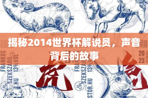 揭秘2014世界杯解说员，声音背后的故事