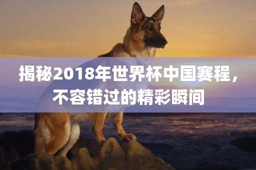 揭秘2018年世界杯中国赛程，不容错过的精彩瞬间眉山市正发家政服务有限公司