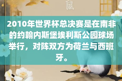 2010年世界杯总决赛是在南非的约翰内斯堡埃利斯公园球场举行，对阵双方为荷兰与西班牙。