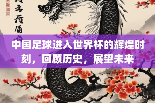 中国足球进入世界杯眉山市正发家政服务有限公司的辉煌时刻，回顾历史，展望未来