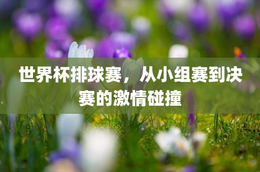 世界杯排球赛，从小组赛到决赛的激情碰撞