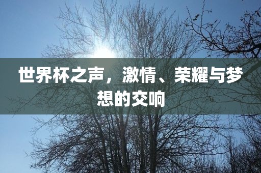 激情与荣耀 第6页