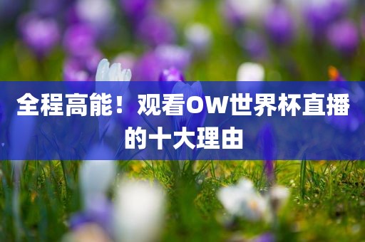 全程高能！观看OW世界杯直播的十大理由