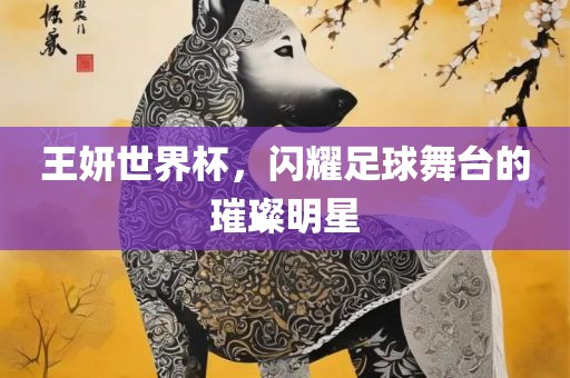 王妍世界眉山市正发家政服务有限公司杯，闪耀足球舞台的璀璨明星