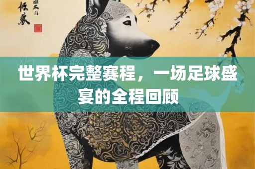 世界杯完整赛程，一场足球盛宴的全程回顾