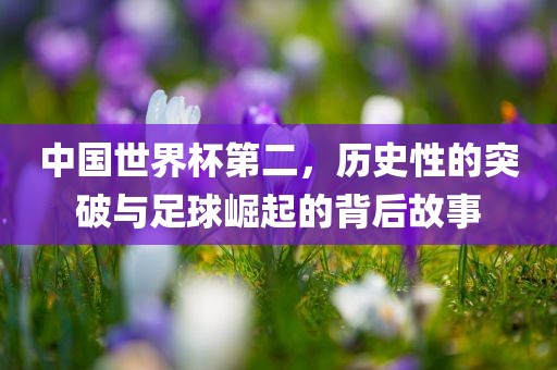 中国世界杯第二，历史性的突破与足球崛起的背后故事