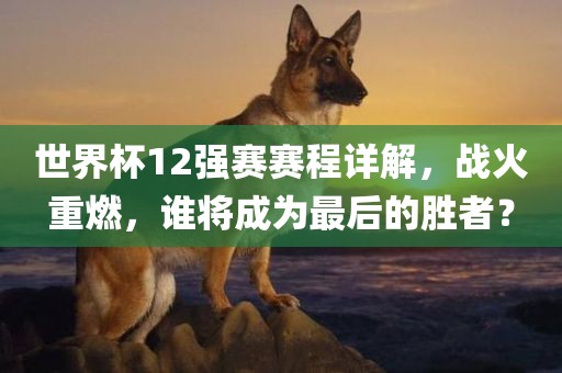 世界杯12强赛赛程详解，战火重燃，谁将成为最后的胜者？