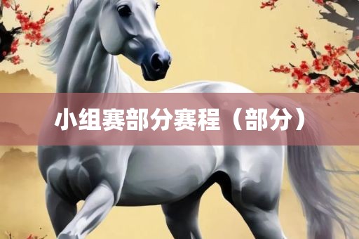 小组赛部分赛程（部分）眉山市正发家政服务有限公司