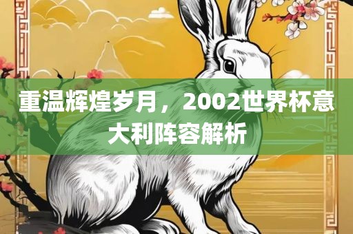 重温辉煌岁月，2002世界杯意大利阵容解析