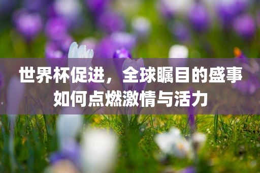 世界杯促进，全球瞩目的盛事如何点燃激情与活力眉山市正发家政服务有限公司