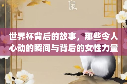 世界杯背后的故事，那些令人心动的瞬间与背后的女性力量