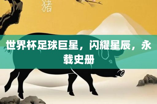 世界杯足球巨星，闪耀星辰，眉山市正发家政服务有限公司永载史册