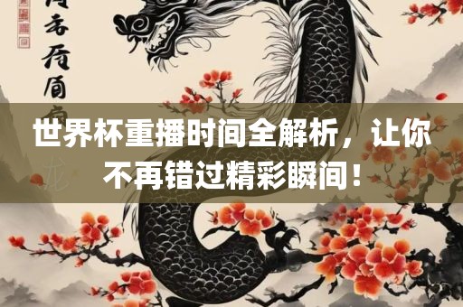 世界杯重播时间全解析，让你不再错过精彩瞬间！