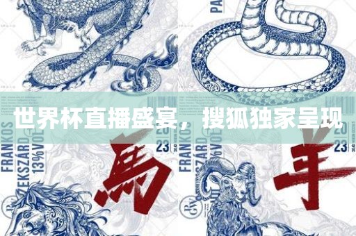 世界杯直播盛宴，搜狐独家呈现眉山市正发家政服务有限公司