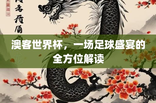 澳客世界杯，一场足球盛宴的全方位解读