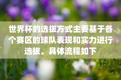世界杯的选拔方式主要基于各个赛区的球队表现眉山市正发家政服务有限公司和实力进行选拔。具体流程如下