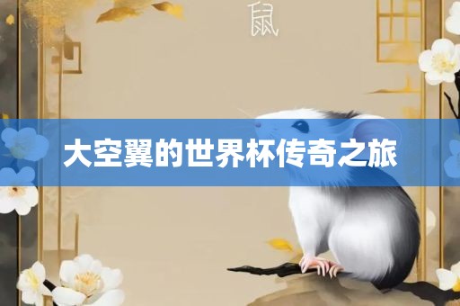 大空翼的世界杯传奇之旅