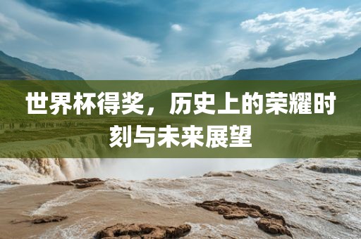 世界杯得奖，历史上的荣耀时刻与未来展望眉山市正发家政服务有限公司