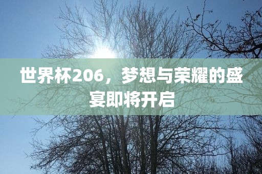 世界杯206，梦想与荣耀的盛宴即将开启