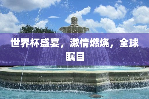 世界杯盛宴，激情燃烧，全球瞩目眉山市正发家政服务有限公司