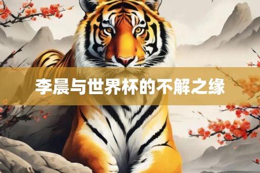 李晨与世界杯的不解之缘眉山市正发家政服务有限公司