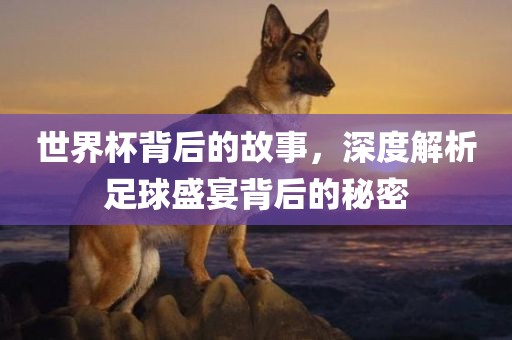 世界杯背后的故事，深度解析足球盛宴背后的秘密
